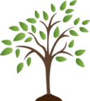 Green invest in World Planting Trees